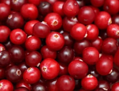 De historie van cranberry